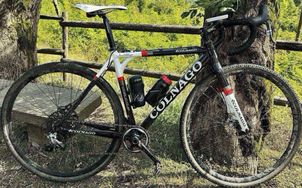 Colnago - World cup, 2019