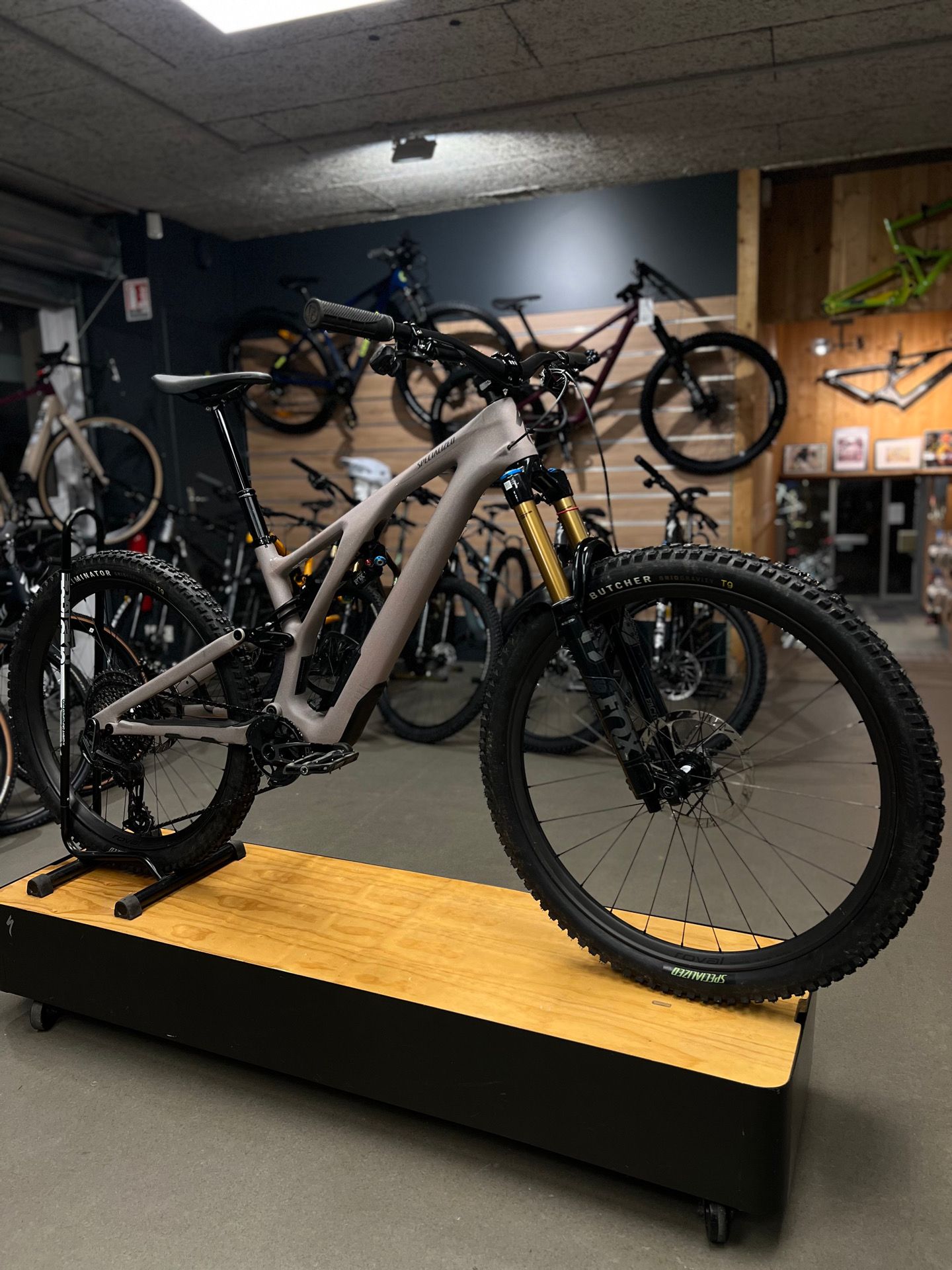 Specialized Stumpjumper EVO Pro T Type gebraucht kaufen M buycycle