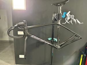 Giant - TCR Advanced SL Disc Frameset 2023, 2023