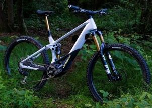 Orbea - WILD M-LTD 2024, 2024