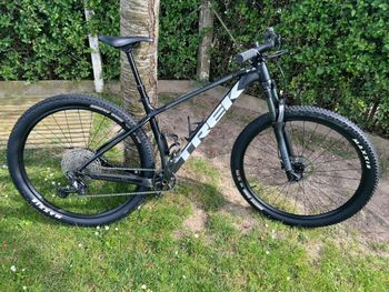 Trek - Procaliber 6 2024, 2024