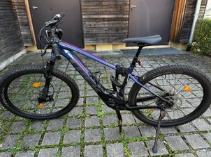 Trek - Marlin+ 8 2024, 2024