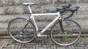 White - Shimano mondiale Verona 2004, 2004