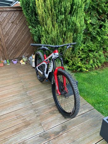 Used Canyon Strive CFR 9.0 Team 2019 Mountainbike, Red — image 2 of 4