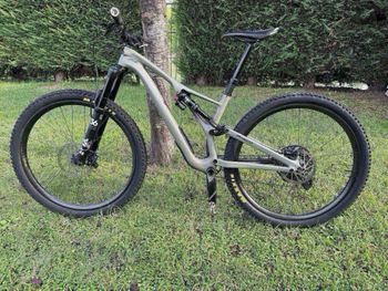 Specialized - Stumpjumper Expert Carbon 29 2020, 2020