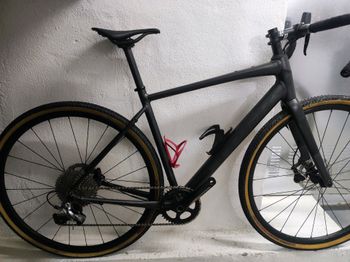 Trek - Domane AL 2 Gen 4 2024, 2024