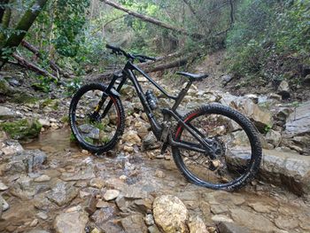 Used Lapierre Zesty AM CF 8.9 2023 Mountainbike — image 3 of 7