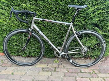 Used Litespeed Siena 2006 Road & Gravel — image 2 of 5