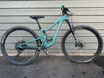 Juliana - Joplin R / Carbon C / 29 2020, 2020