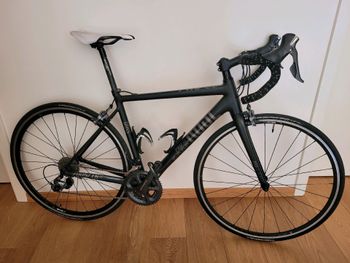 Rose, Pro sl-300