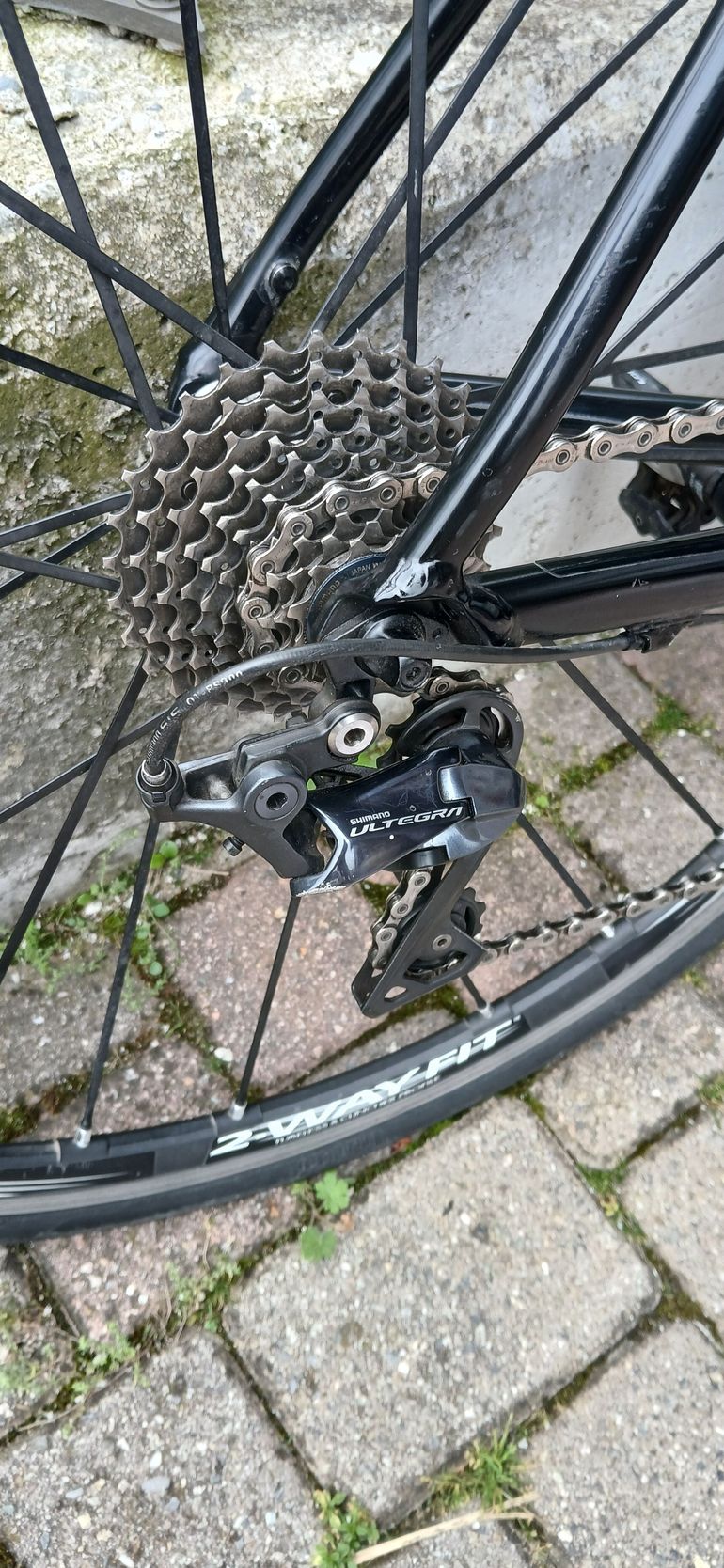 Caad 13 ultegra online