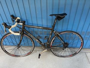 Biktrix - Viner fullcarbon, 2005