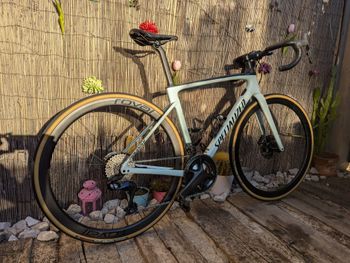 Specialized - Roubaix Sport 2021, 2021