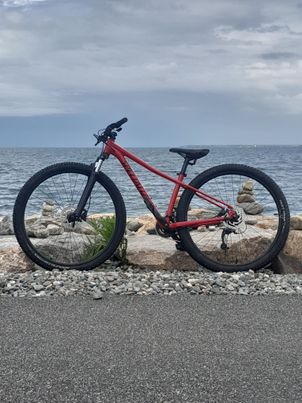 Specialized - Rockhopper 29 2022, 2022