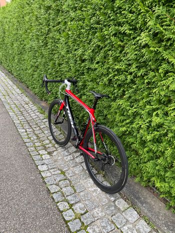 Used Trek Madone 3.5 H2 Compact 2014 2014 Road & Gravel, Red — image 3 of 6