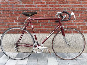 Fahrradmanufaktur - Shogun Vintage, 1990