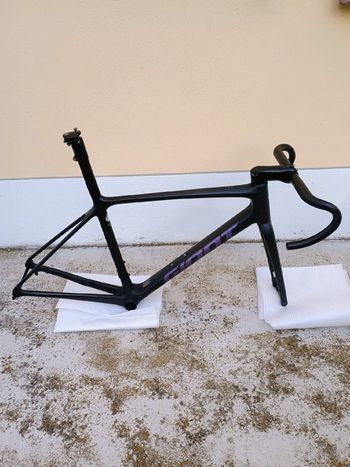 Giant - TCR Advanced SL Frameset 2023, 2023