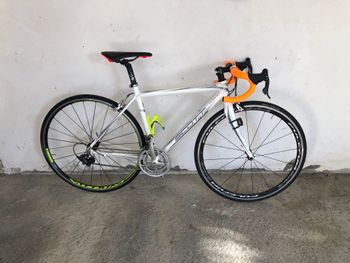 Scott - Contessa Speedster 35 2017, 2017