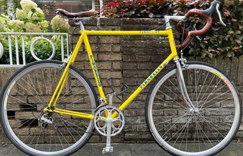 Pinarello - Treviso, 1989