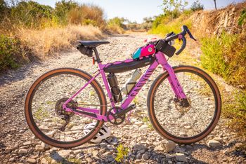 Used Canyon Grizl 7 RAW 1by 2023 2023 Road & Gravel, Violett — image 9 of 10