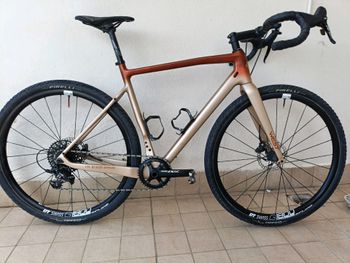 Megamo, WEST 10 2022