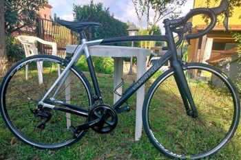 Van rysel - Ultra CF 105 Road Bike 2020, 2020