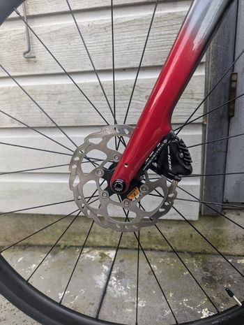 Used Trek Domane AL 5 Disc 2023 2023 Road & Gravel — image 5 of 12