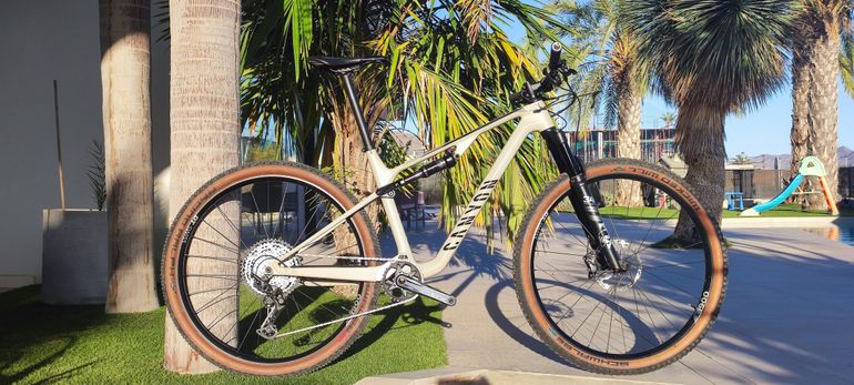 Used Canyon Lux Trail CF 6 2022 2022 Mountainbike, Light Gray, 29 — image 1 of 10