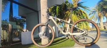 Used Canyon Lux Trail CF 6 2022 2022 Mountainbike, Light Gray, 29 — image 2 of 10