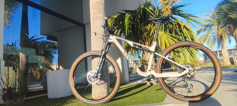 Used Canyon Lux Trail CF 6 2022 2022 Mountainbike, Light Gray, 29 — image 2 of 10