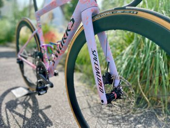 Used Specialized S-Works Tarmac SL8 2024 Road & Gravel, Blue — image 3 of 11