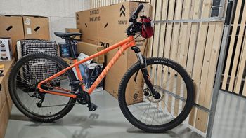 Specialized - Sport 29 M, 2023