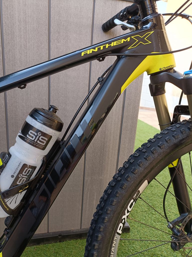 Anthem x 29er online