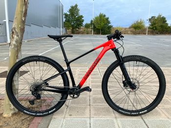 Cannondale - Scalpel HT Carbon 4 2024, 2024