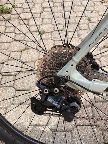 Used BULLS Copperhead 2 29 2023 2023 Mountainbike, Green, 29 — image 3 of 5