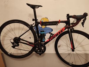 Giant - TCR Advanced Pro 1 2019, 2019