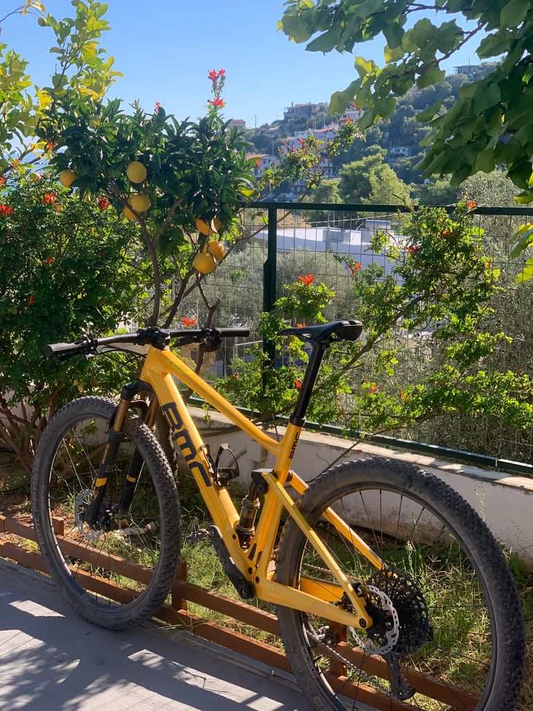 Used BMC Fourstroke 01 ONE 2020 2020 Mountainbike, Orange, 29 — image 3 of 5