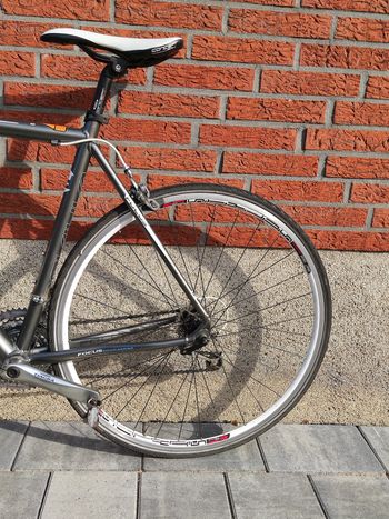 Used Focus Variado 2007 Road & Gravel, Gris claro — image 7 of 11