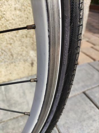 Used Focus Variado 2007 Road & Gravel, Gris claro — image 11 of 11