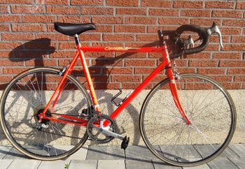 MTB Cycletech, Cycletech; Farbe Neon Rot