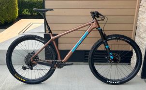 Santa Cruz - Chameleon S / Carbon C / 29 2020, 2020