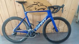 Giant - Propel Advanced 1 2024, 2024