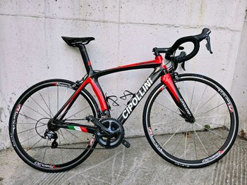 Cipollini - Logos, 2016