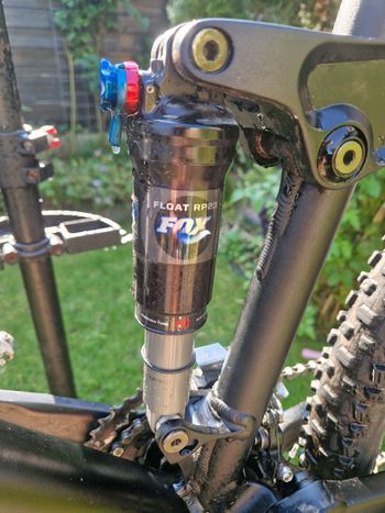 Used Canyon Nerve XC 5.0 2010 Mountainbike, Black — image 4 of 16