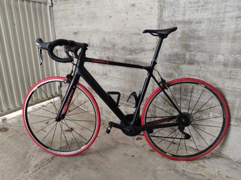 Canyon - Endurace CF 7.0 2019, 2019