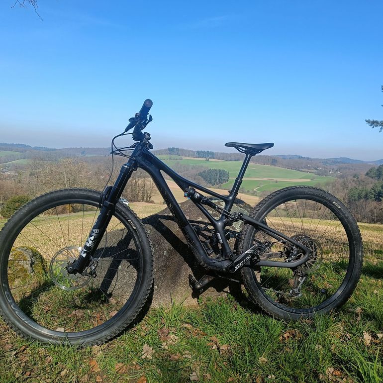 Used Specialized Stumpjumper Expert Carbon 29 2020 2020 Mountainbike, Schwarz, 29 — image 1 of 15