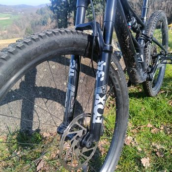 Used Specialized Stumpjumper Expert Carbon 29 2020 2020 Mountainbike, Schwarz, 29 — image 11 of 15