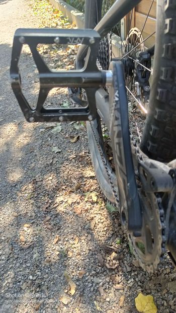 Used Specialized Stumpjumper Expert Carbon 29 2020 2020 Mountainbike, Schwarz, 29 — image 14 of 15
