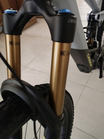 Used Orbea WILD M-LTD 20mph 2023 2023 Mountainbike, Weiß, 29 — image 8 of 12