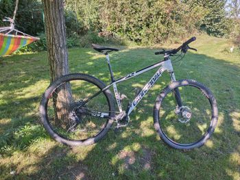 Cannondale - Flash 29 Lefty, 2017